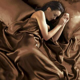 Chocolate Brown Satin Bedding